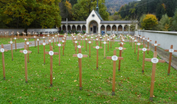 Landeskrankenhaus und Valduna-Friedhof